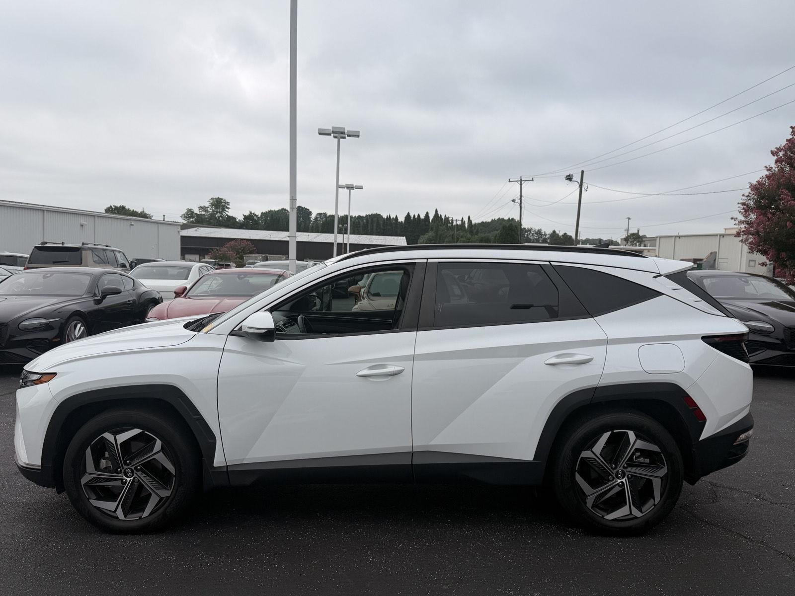 Used 2023 Serenity White Pearl Hyundai SEL image 2