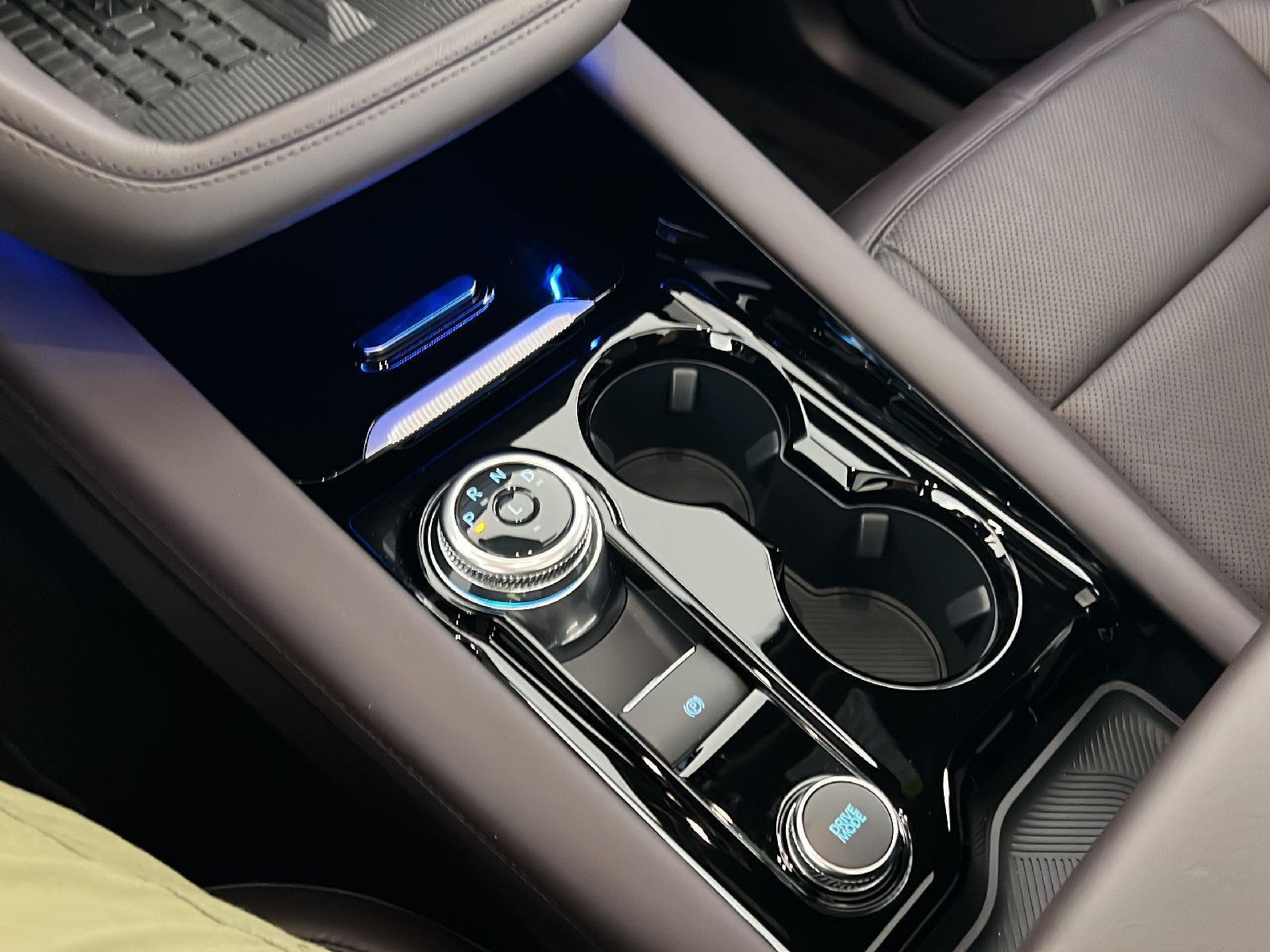 Used 2025 Carbonized Gray Ford Platinum image 9