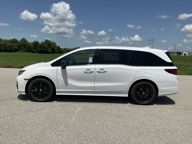 New 2026 Platinum White Pearl Honda Sport-L image 17
