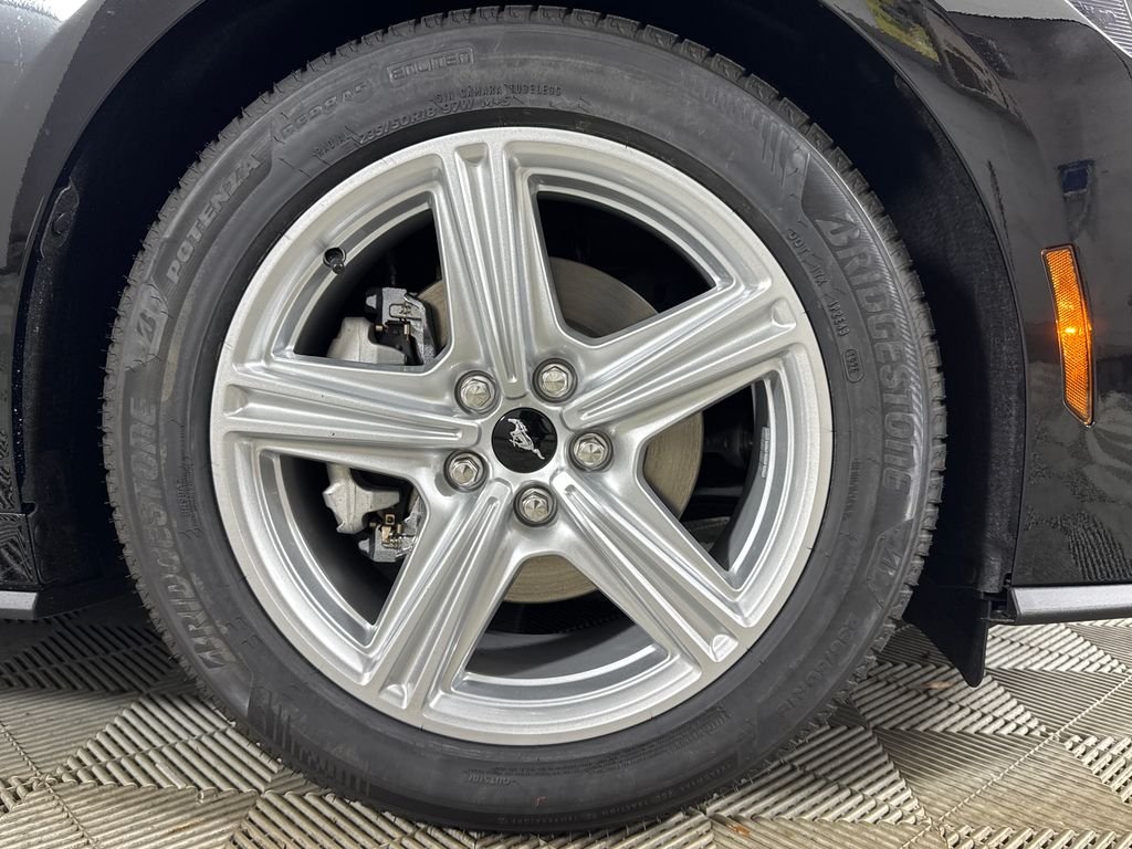 New 2026 Black Ford EcoBoost Premium image 15