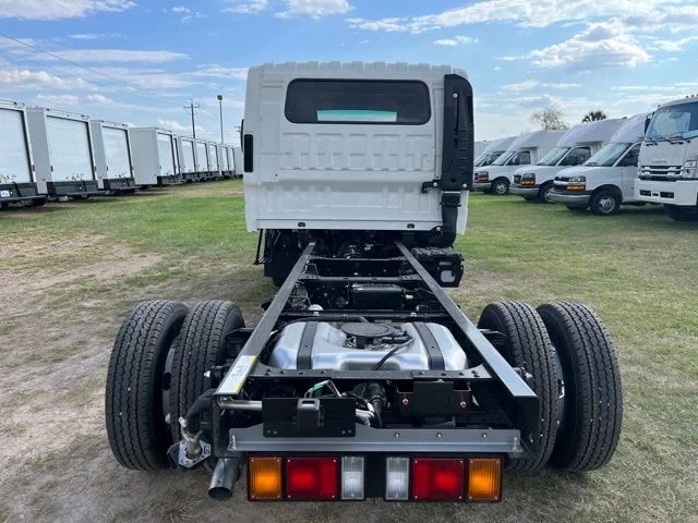 New 2024  Isuzu 150" WHEELBASE image 4