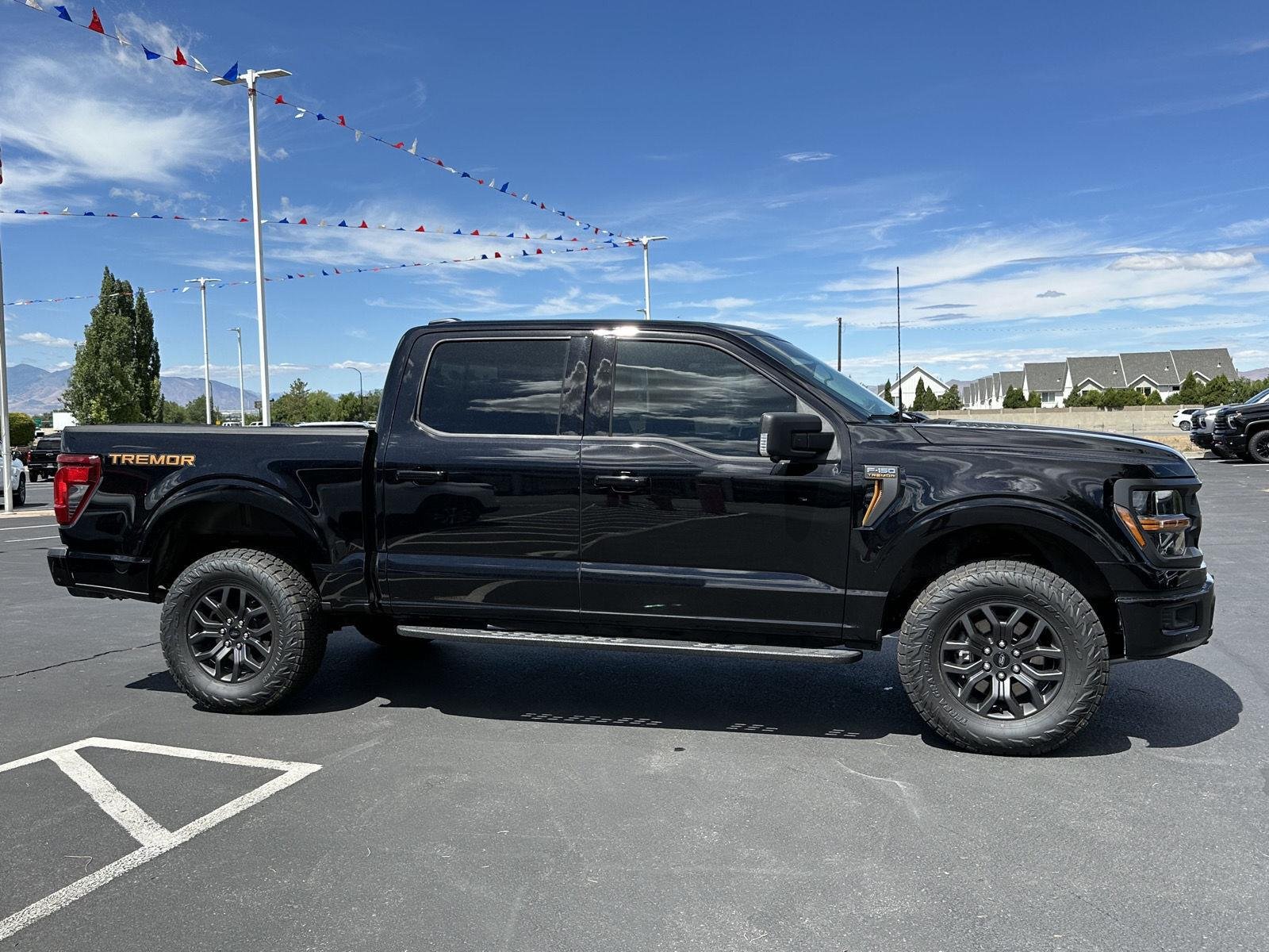 2025 Ford F-150 Tremor - Photo 15