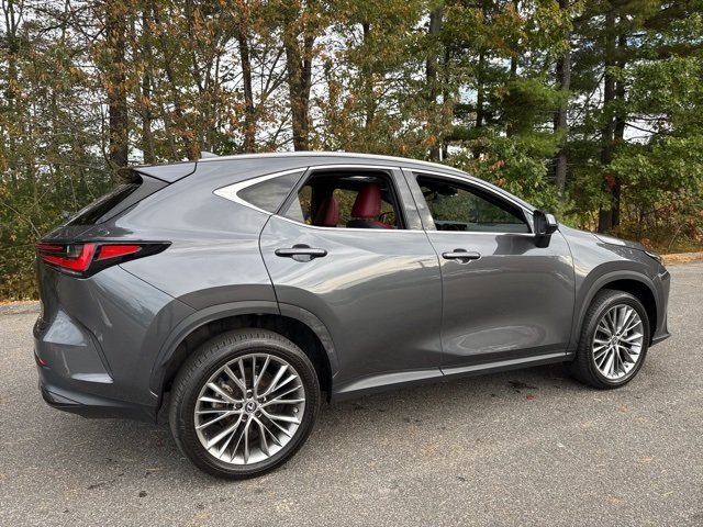 2022 Lexus NX 350h Premium AWD photo 2