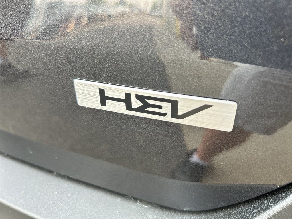 New 2027 Panthera Metal Kia LXS image 8