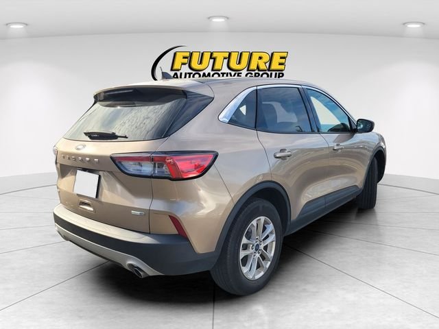 Used 2020 Gold Ford SE image 3