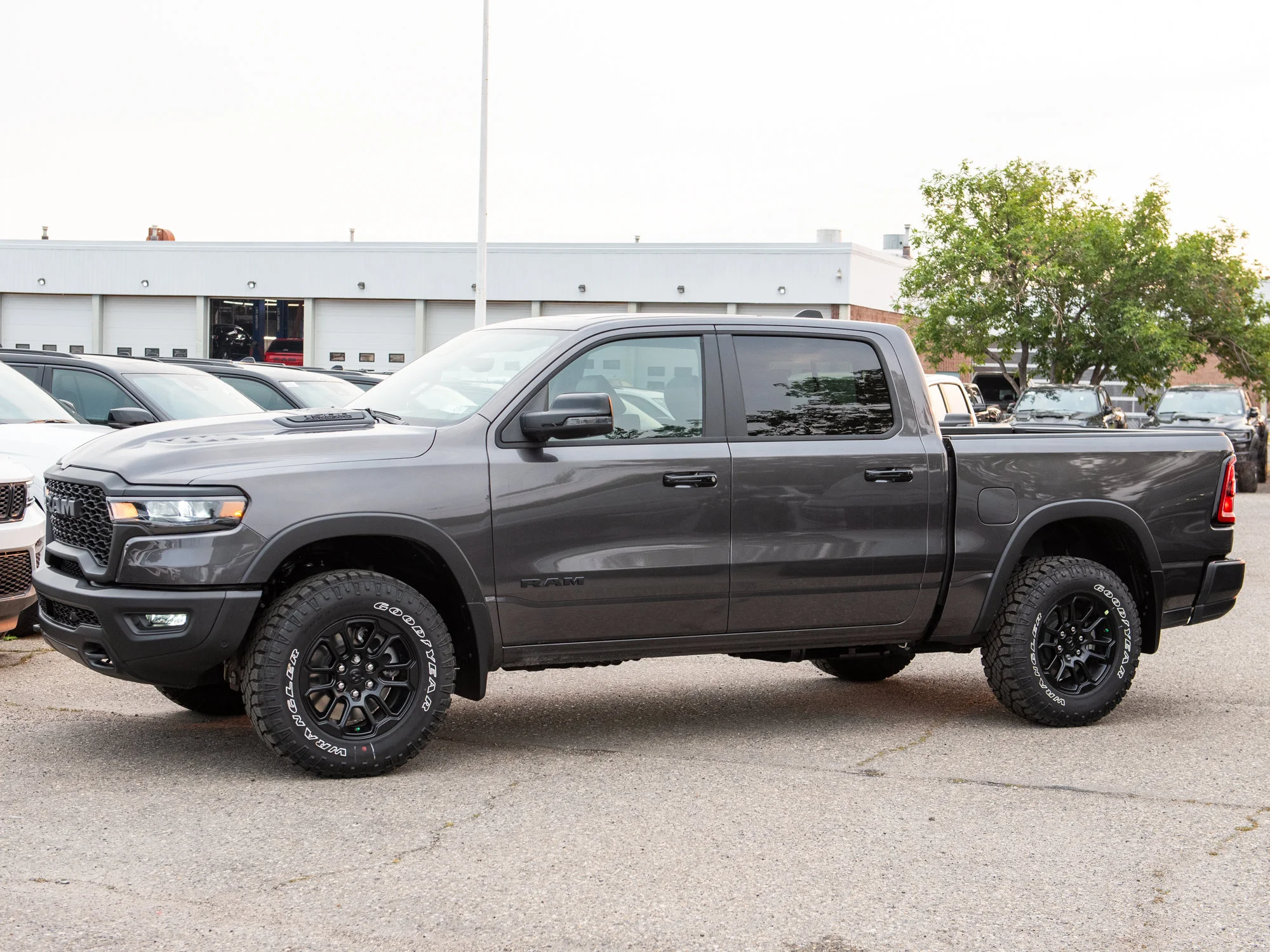 New 2026 Grey RAM Rebel* image 4