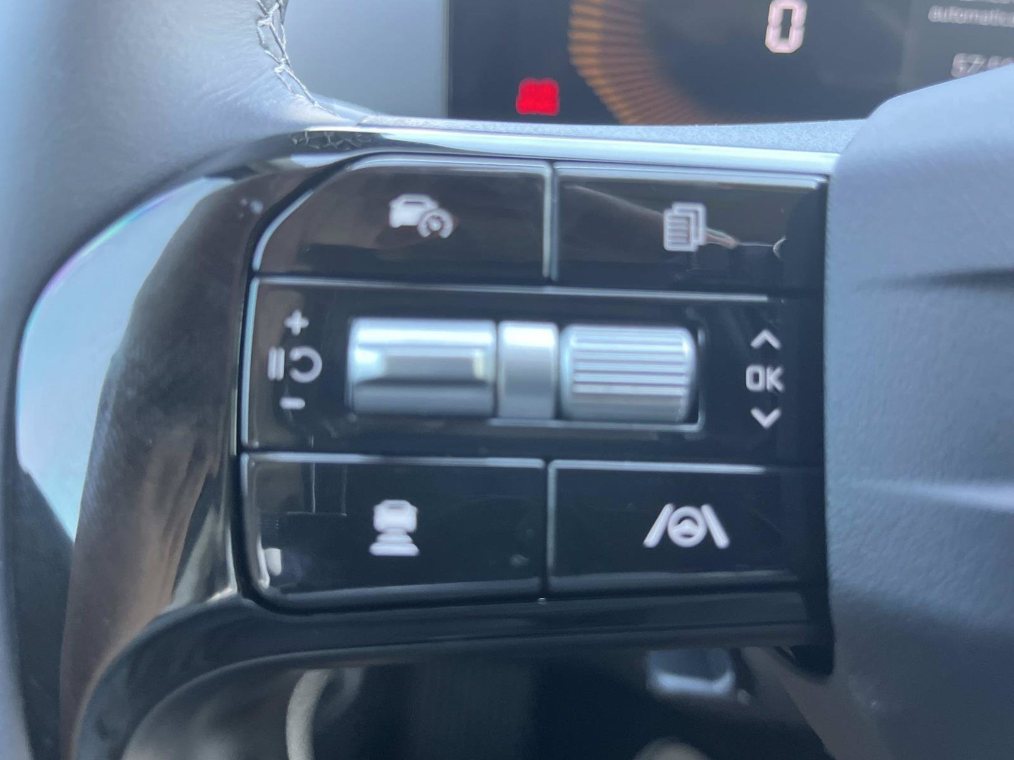 New 2026 Panthera Metal Kia LX image 24