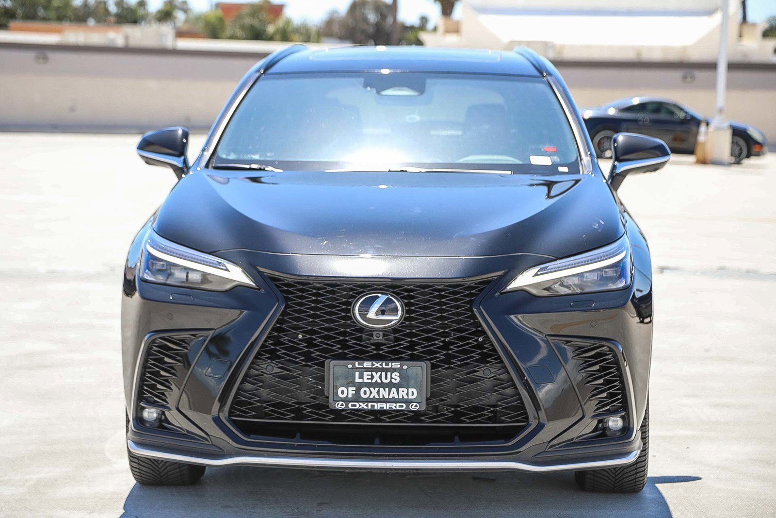 Used 2024 Lexus NX PHEV 450h+ with VIN JTJKKCFZ9R2025200 for sale in Oxnard, CA