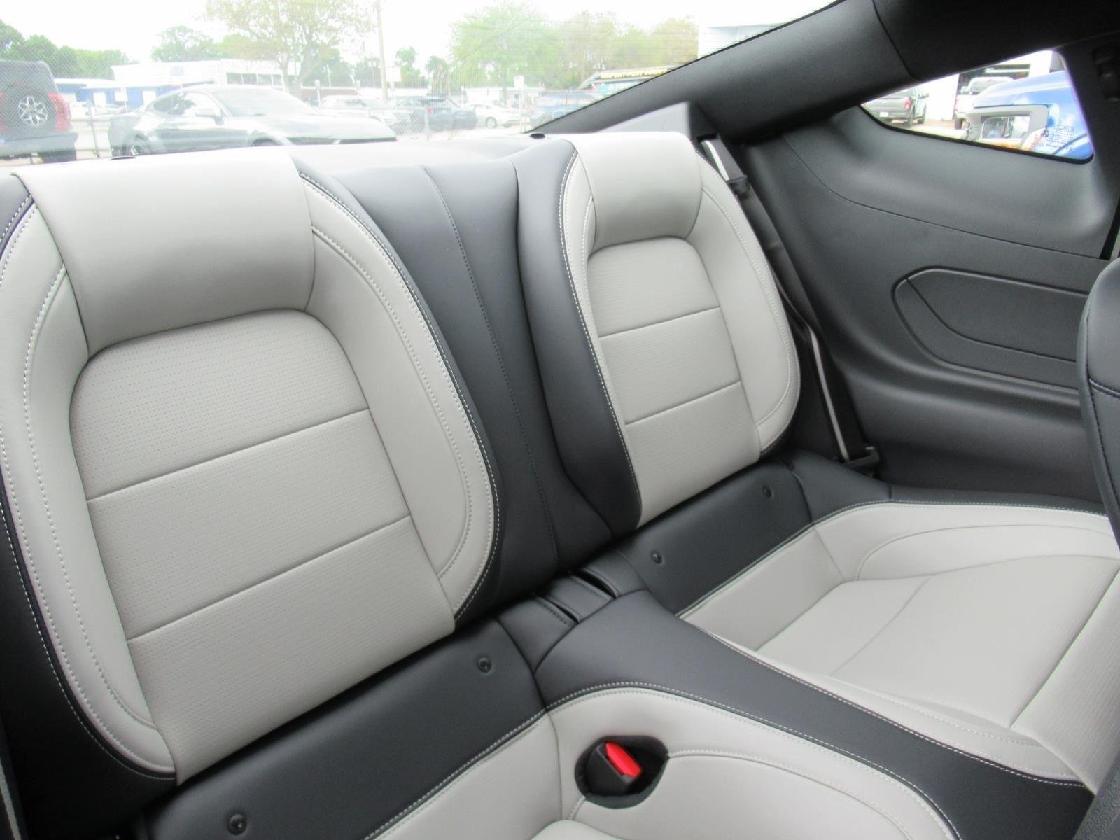 2025 Ford Mustang EcoBoost Premium Fastback - Photo 13