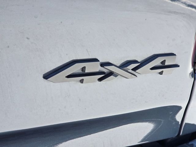Used 2026 Blue Ram RHO image 33
