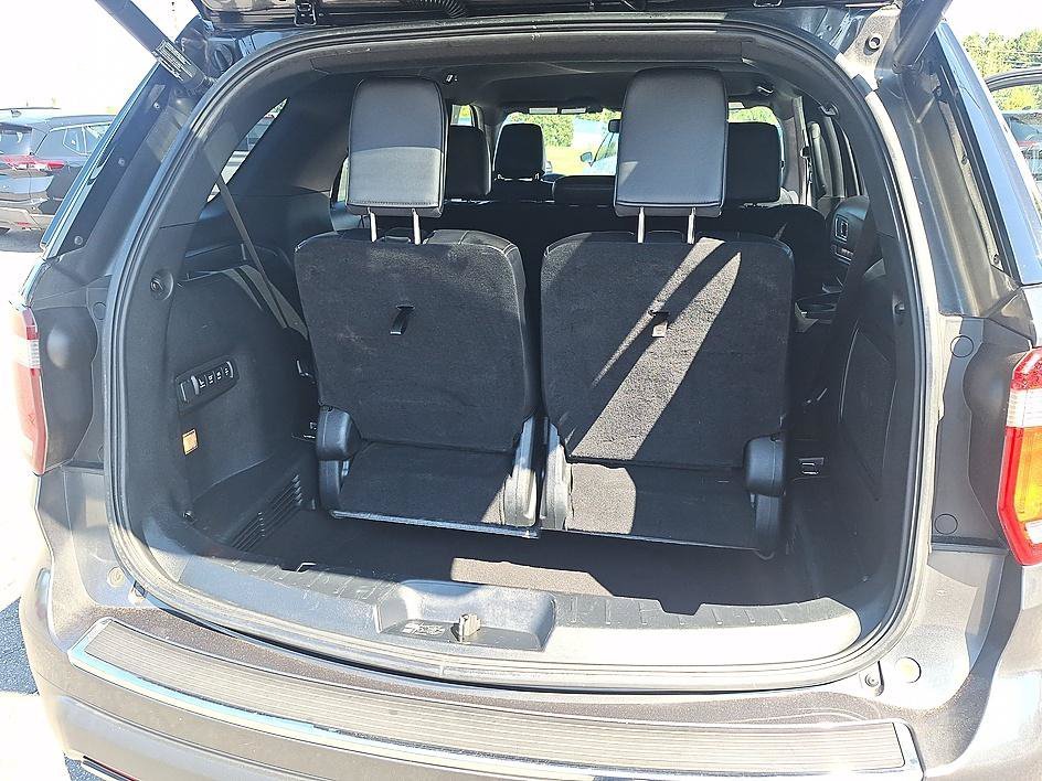 Used 2019 Magnetic Metallic Ford Limited image 24