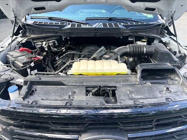 Used 2024 White Ford XLT image 10