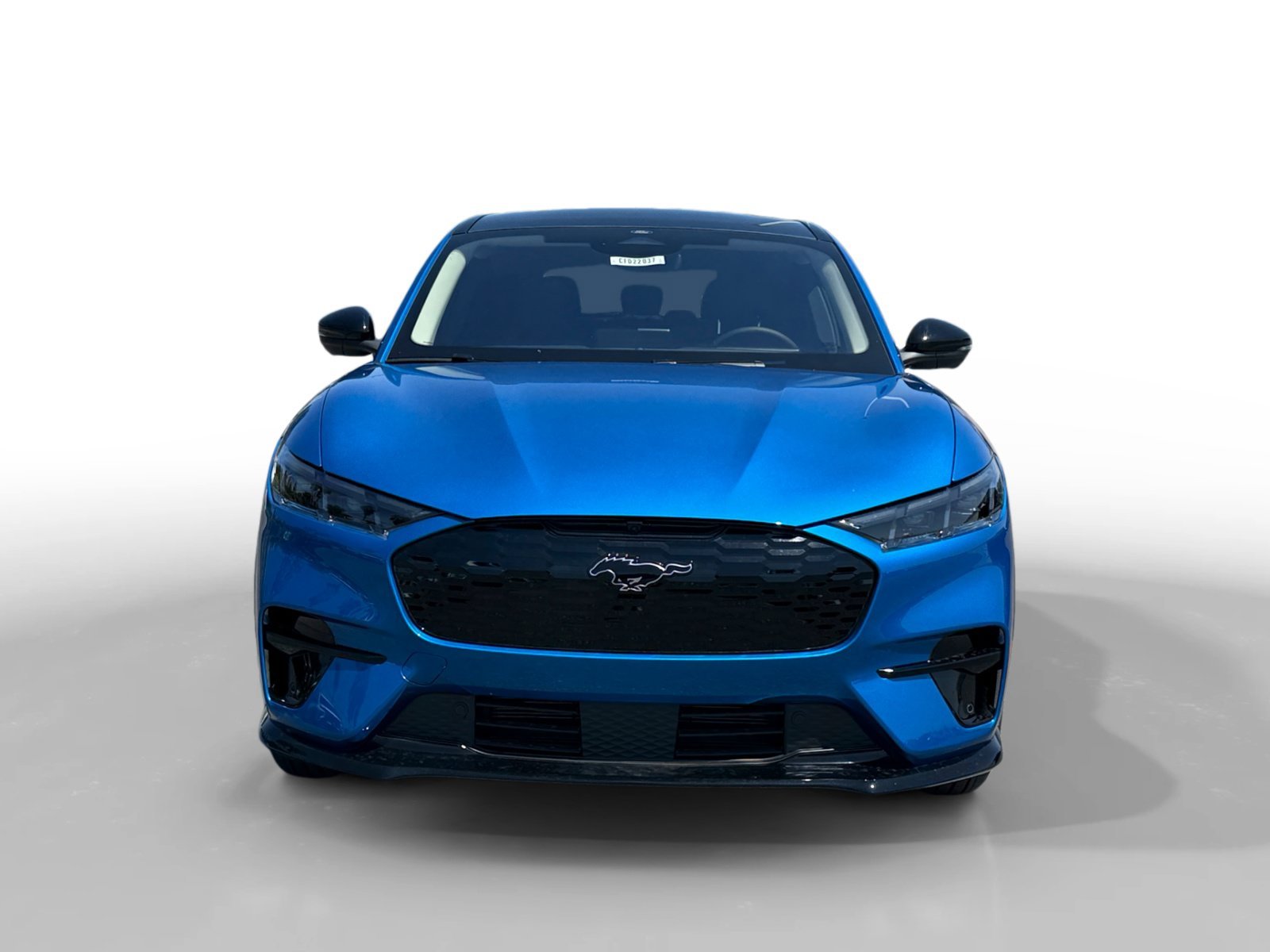 New 2026 Velocity Blue Metallic Ford Premium image 8