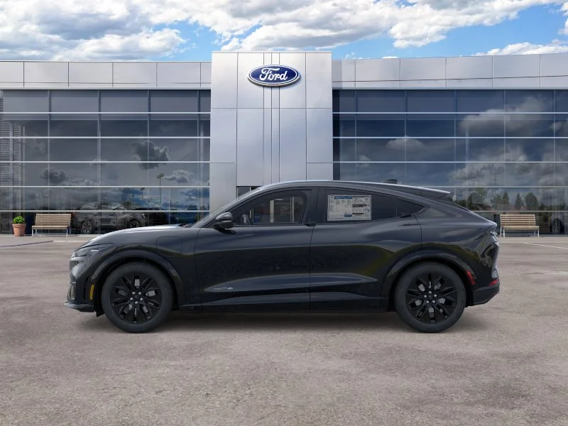 New 2026 Shadow Black Ford Premium image 20