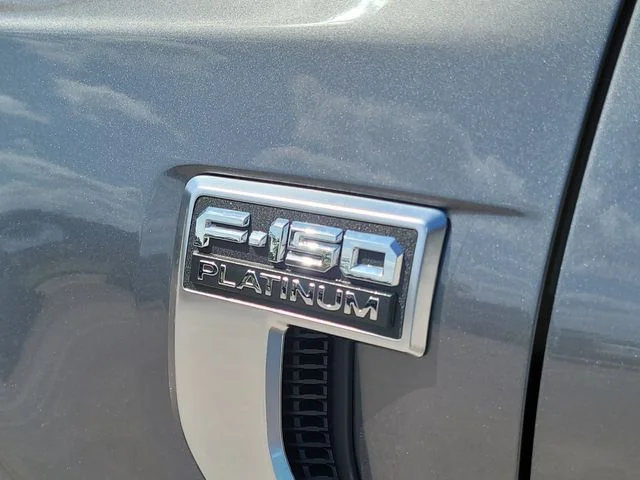 New 2026 Gray Metallic Ford Platinum image 9