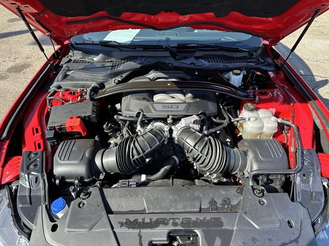 Used 2025 Red Ford GT Premium image 19