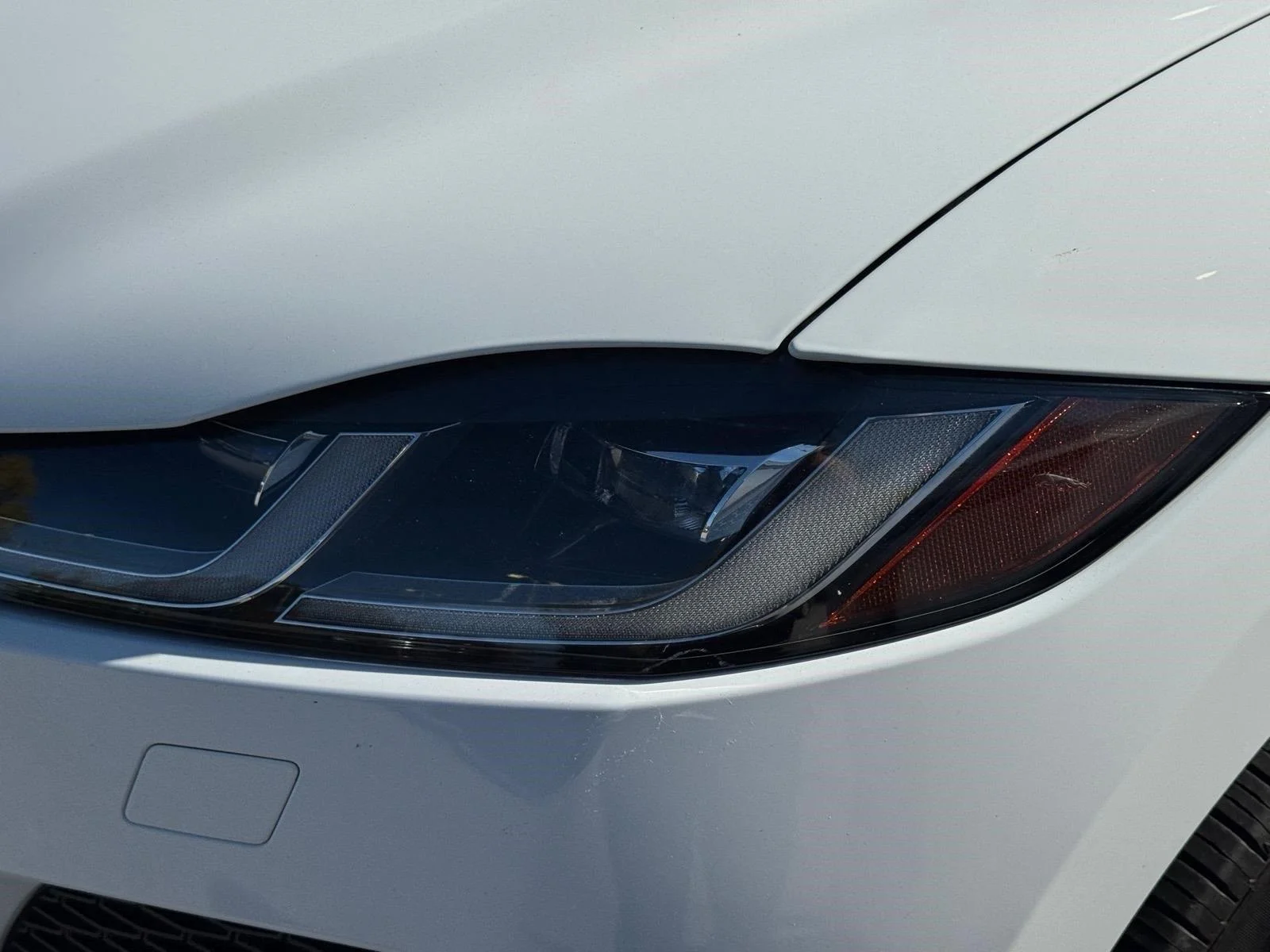 Used 2021 Fuji White Jaguar S image 2