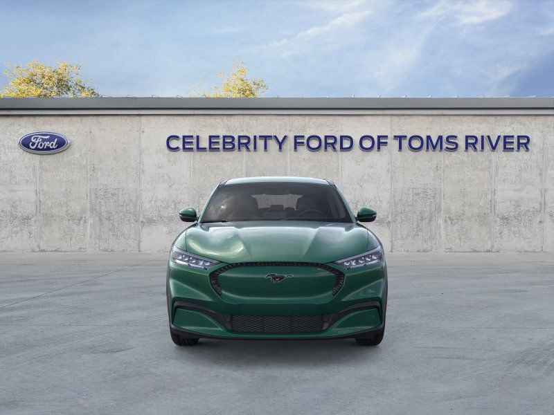 New 2024 Eruption Green Metallic Ford Select image 28