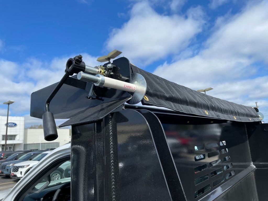 New 2026 Oxford White Ford F-550® XL image 25