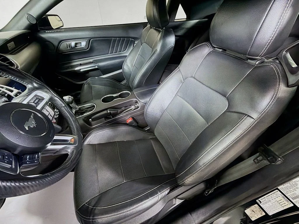 Used 2019 Black Ford EcoBoost Premium image 12