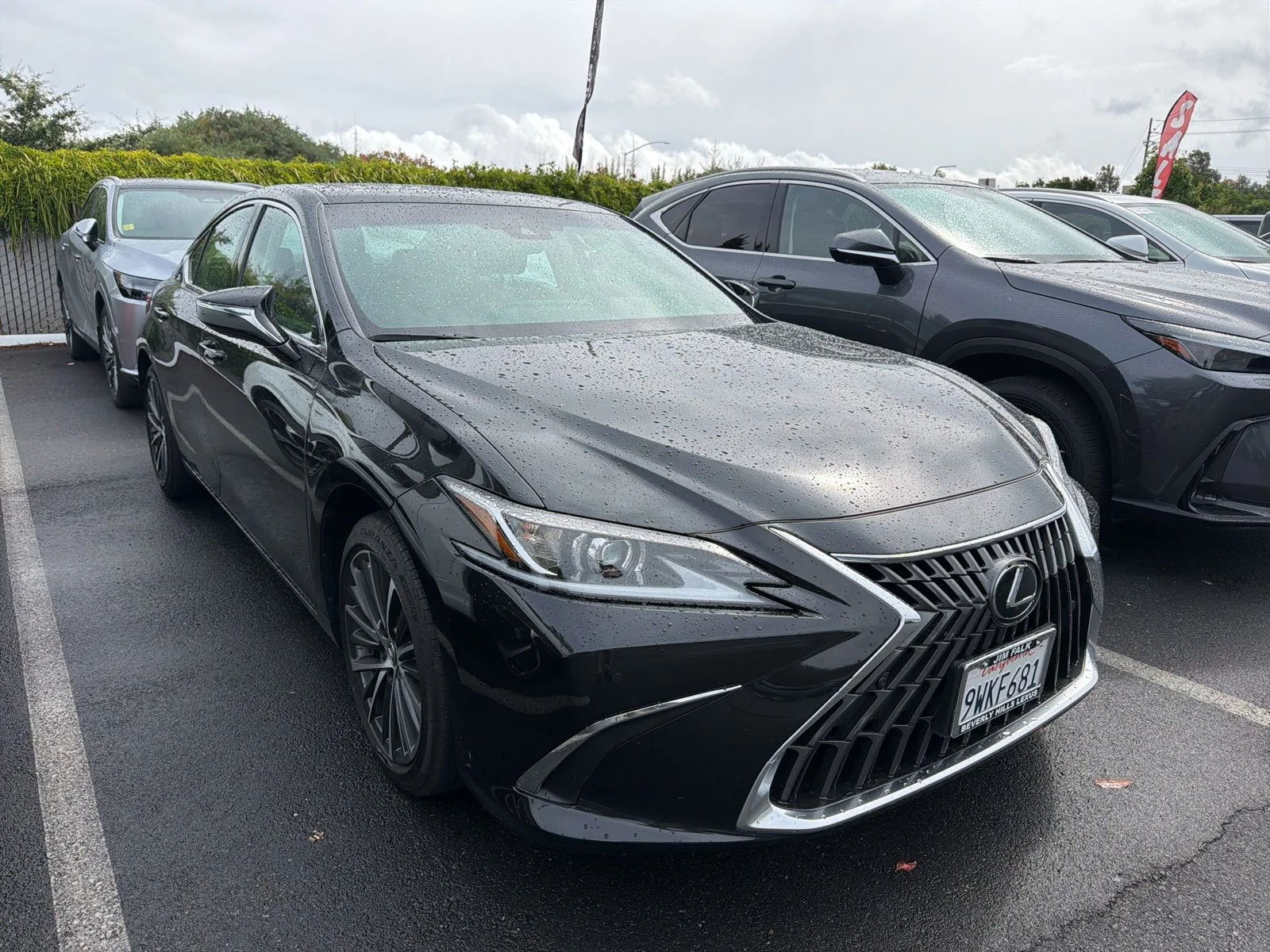 2025 Lexus ES 300h 300h's photo