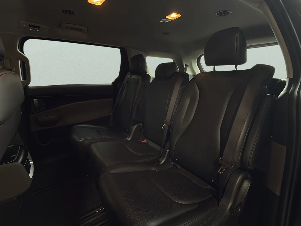 Used 2025 Panthera Metal Kia LXS image 27