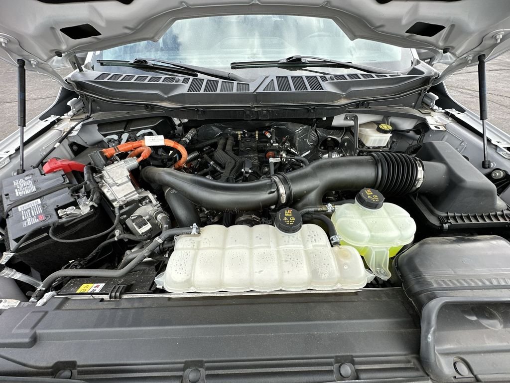 Used 2024 White Ford XLT image 17