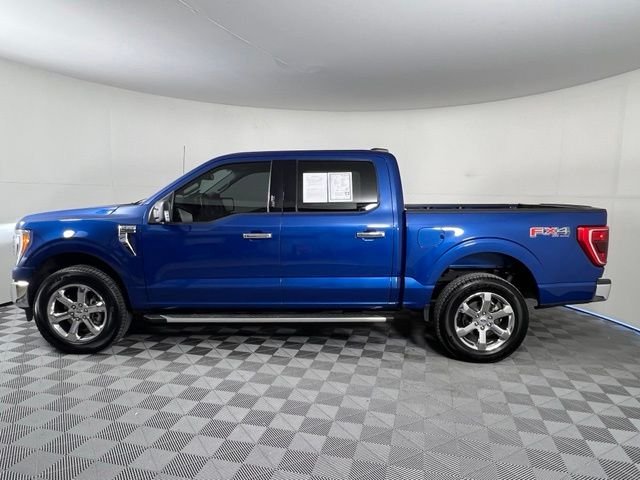 Used 2023 Blue Ford XLT image 4