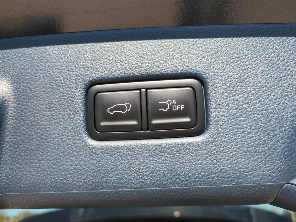 New 2026 Panthera Metal Kia EX image 15