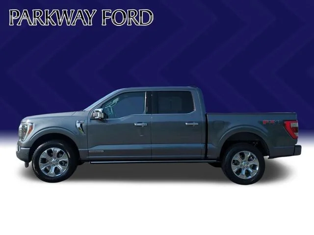 Used 2023 Gray Ford Platinum image 2