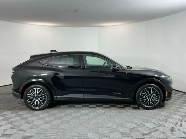 New 2026 Shadow Black Ford Premium image 4