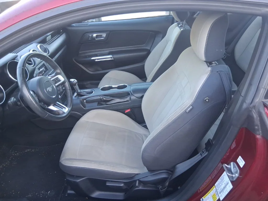 Used 2019 Red Ford EcoBoost image 8