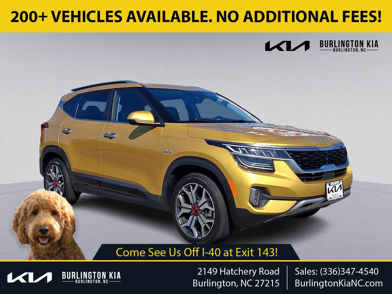 Certified Used 2023 Starbright Yellow - B4Y Kia SX Turbo image 1