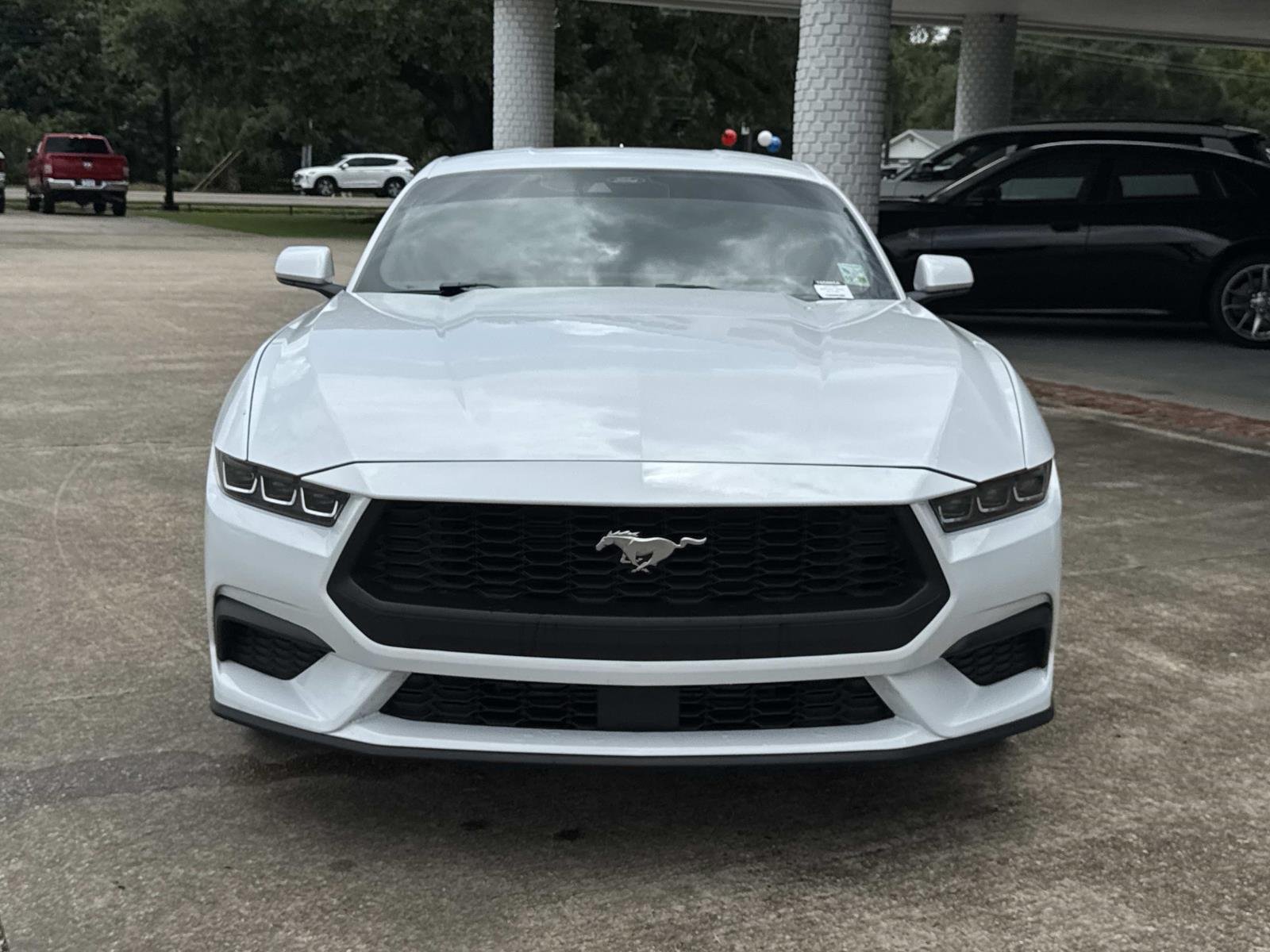Used 2024 White Ford EcoBoost image 2