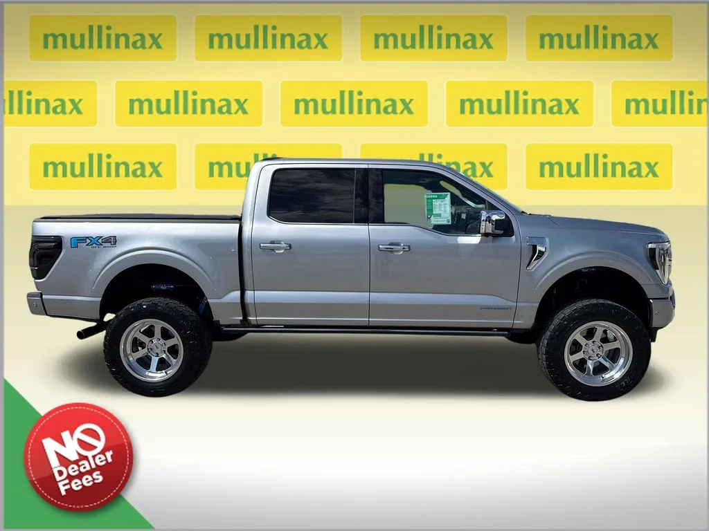 Used 2021 Silver Ford Platinum image 2