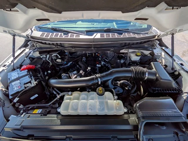 Used 2024 White Ford Platinum image 33