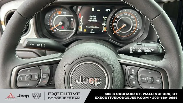 New 2026 Joose Exterior Paint Jeep Willys image 11