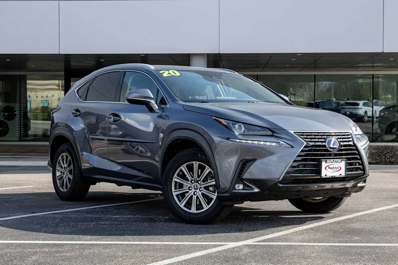 2020 Lexus NX 350h 300h AWD's photo