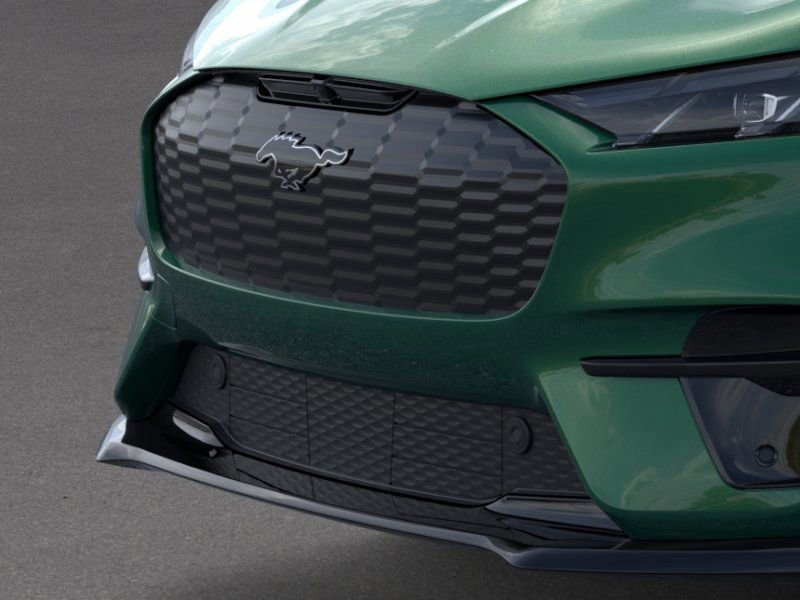 2025 Ford Mustang Mach-E GT - Photo 17