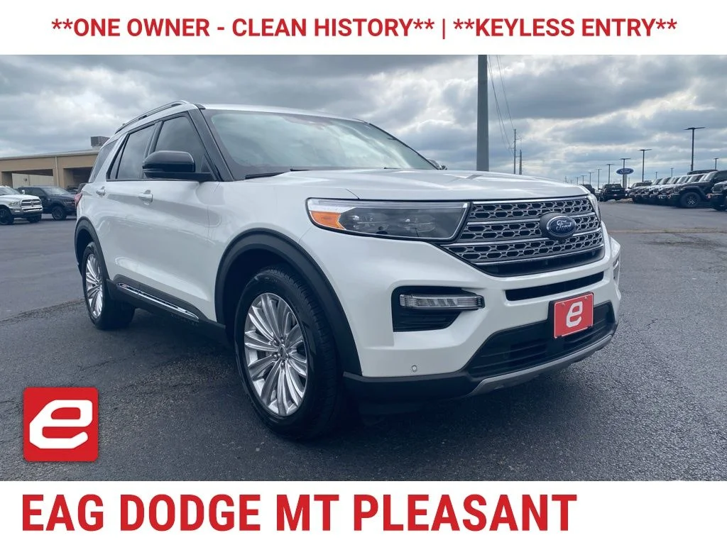 Used 2023 White Ford Limited image 1