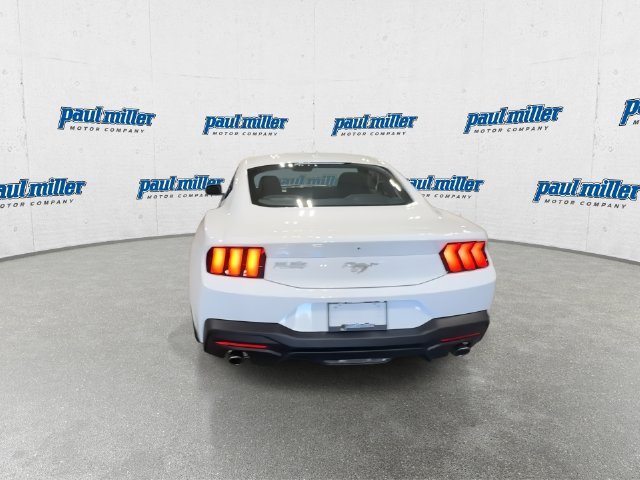 New 2026 Oxford White Ford EcoBoost® Fastback image 9