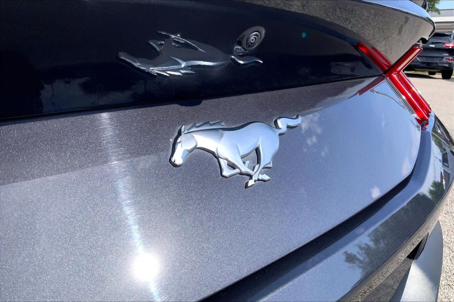 Used 2024 Dark Matter Gray Ford EcoBoost Premium image 30