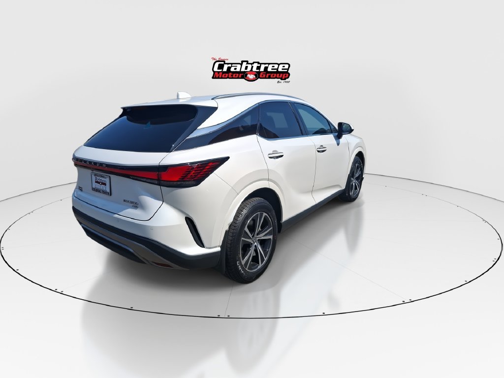 2024 Lexus RX 350 - Photo 8