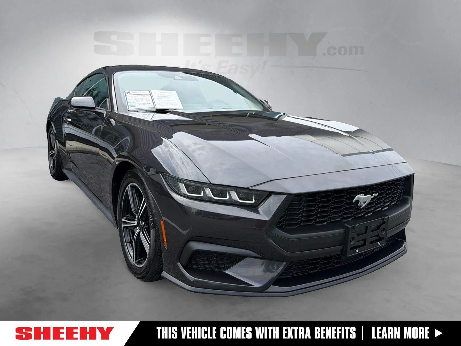 Used 2024 Dark Matter Gray Ford EcoBoost image 1