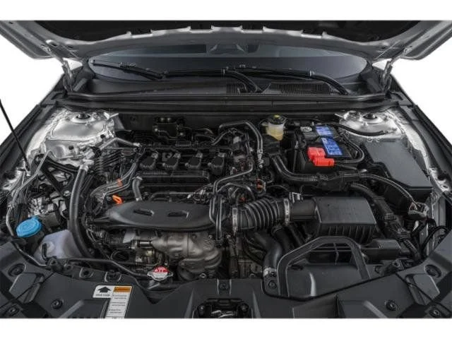 New 2026 Platinum White Pearl Honda SE image 11