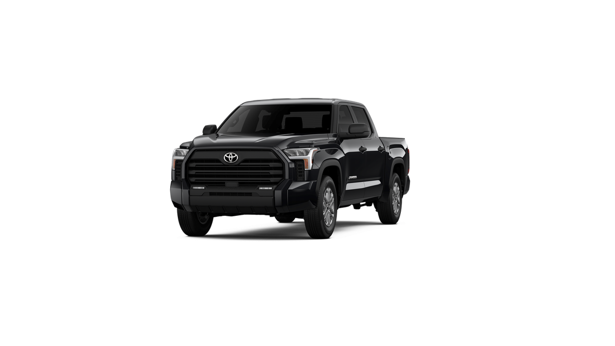 2025 Toyota Tundra SR5 - Photo 50