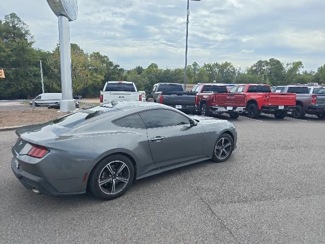 Used 2025 Gray Ford EcoBoost image 3