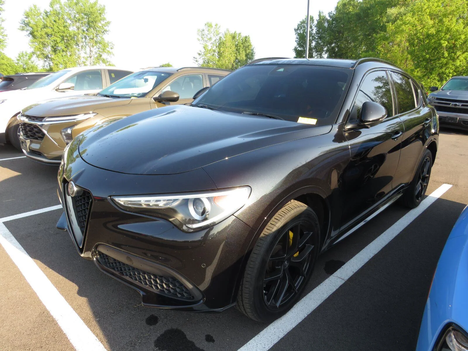 Used 2021 Vulcano Black Met Alfa Romeo Ti Sport image 6