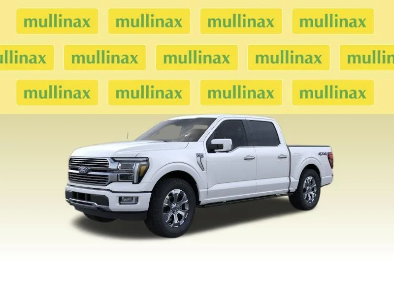New 2026 White Ford Platinum image 15