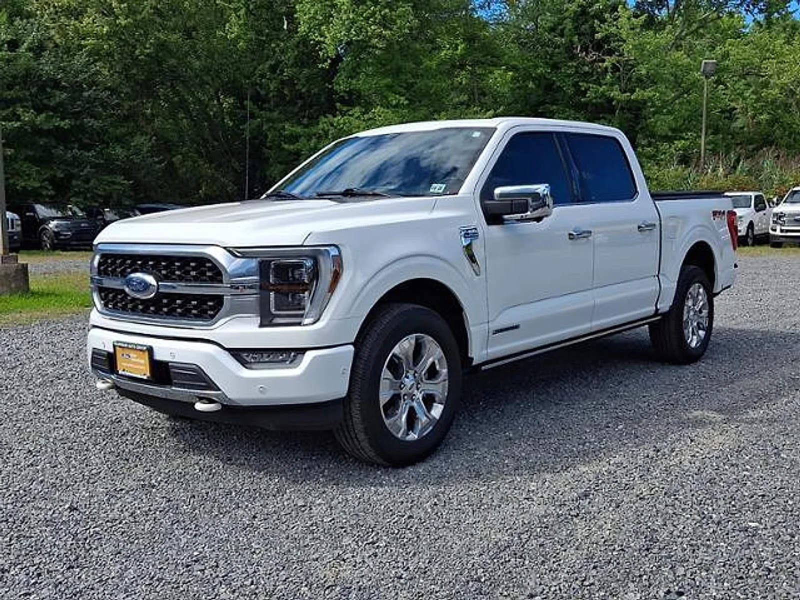 Used 2023 Star White Metallic Tri-Coat Ford Platinum image 3